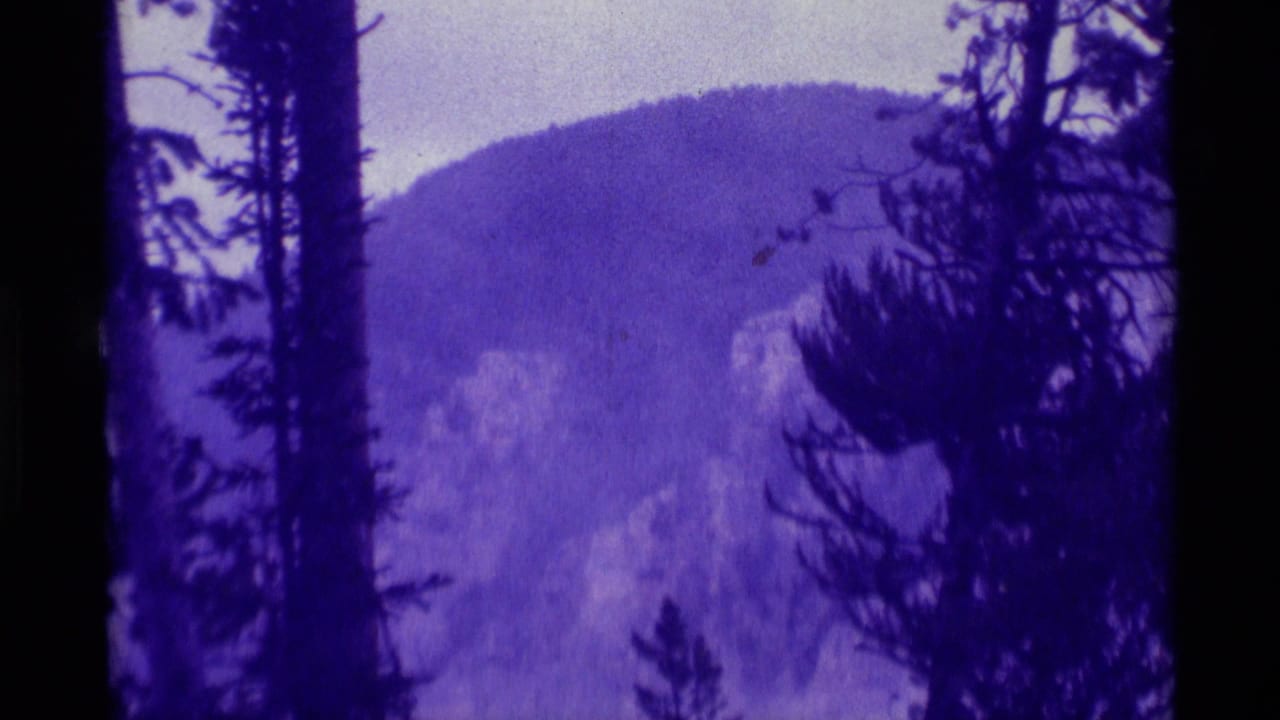 1975 8mm home-movie frame from Agate Springs, Montana, showing distant mountain peaks through dark pine silhouettes.