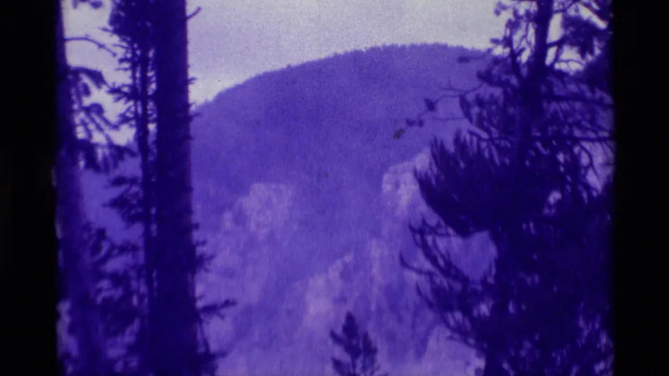 1975 8mm home-movie frame from Agate Springs, Montana, showing distant mountain peaks through dark pine silhouettes.