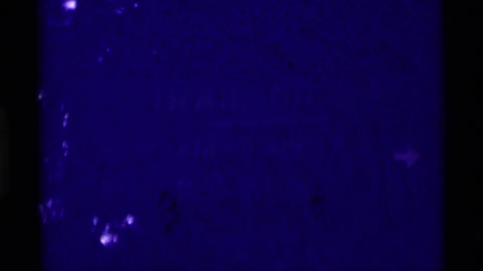 Underexposed blue 8mm frame from the Montana trail clip, suggesting dim rainy conditions with only faint foliage shapes visible.