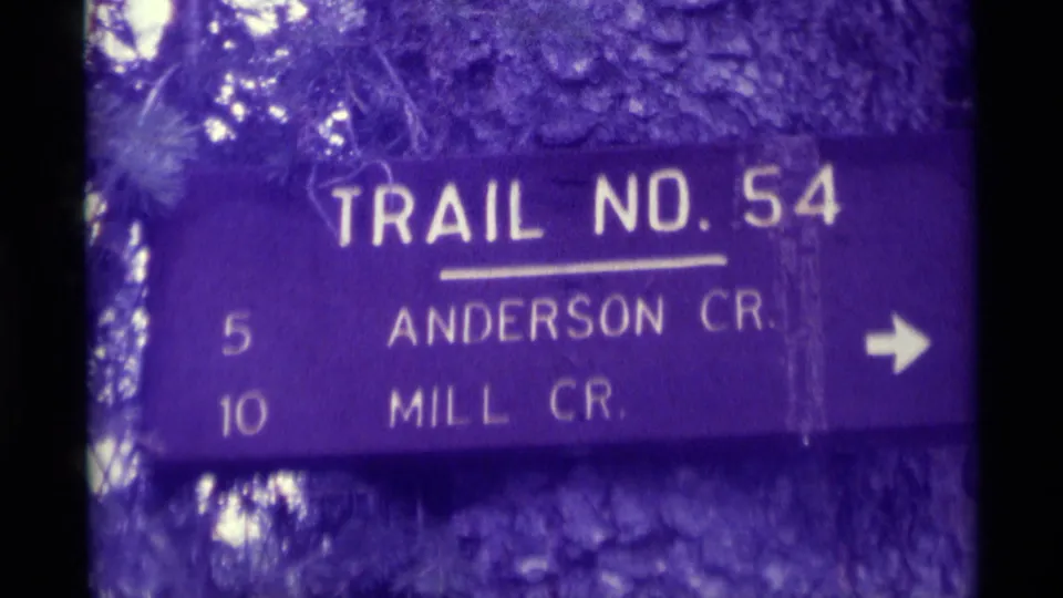 Purple-shifted 1975 8mm view of a Montana forest sign for Trail No. 54, listing Anderson Cr. and Mill Cr. with an arrow to the right.