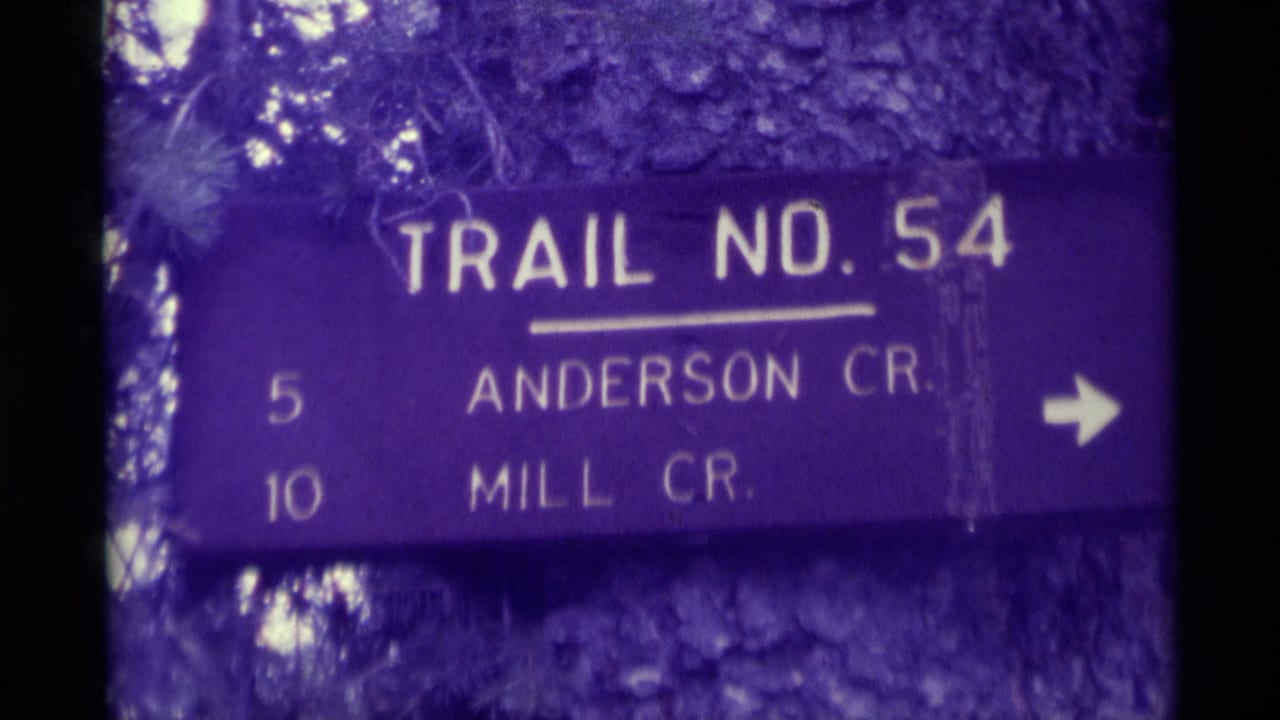 Close view of a Trail No. 54 sign in Montana, with Anderson Cr. and Mill Cr. directions visible on purple-shifted 8mm film.
