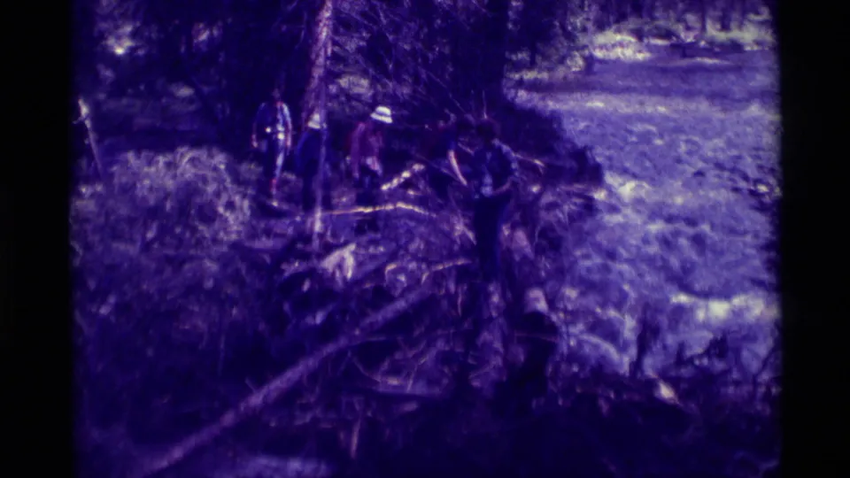 Distant hikers appear beside fallen logs and a shallow stream on a forest trail near Agate Springs, Montana.