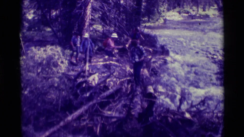Several hikers in hats move carefully over fallen logs and water on a purple-tinted 8mm forest trail scene.