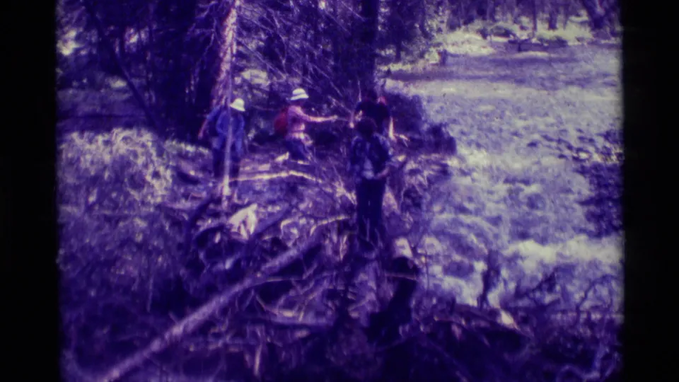 Hikers continue across a log-strewn stream crossing in wooded Montana footage from the 1970s home-movie clip.