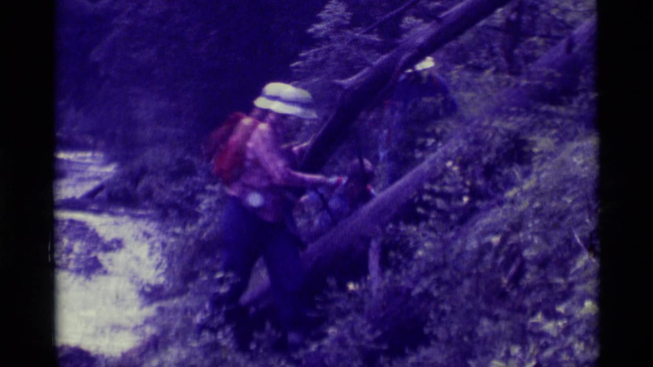 1975 Montana 8mm frame showing adults navigating fallen tree trunks on a steep wooded hillside, with a white hat and red backpack visible.