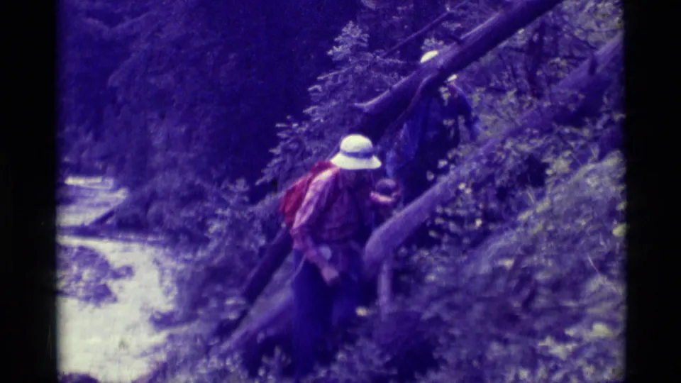 In this 1975 Agate Springs frame, a hiker with a white hat and red backpack moves through brush beside a fallen tree.