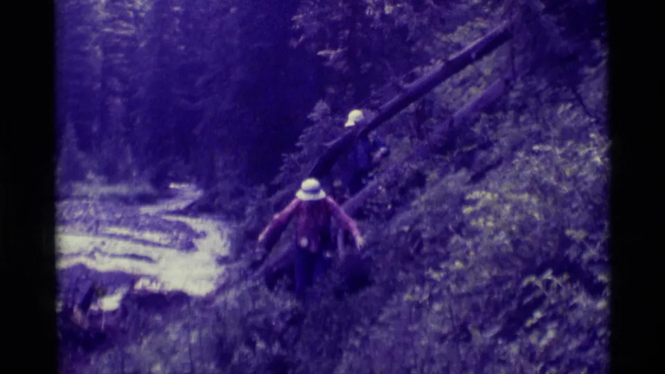 1975 Montana home-movie frame of adults spread across a wooded hillside, using fallen logs and open ground to move through the terrain.