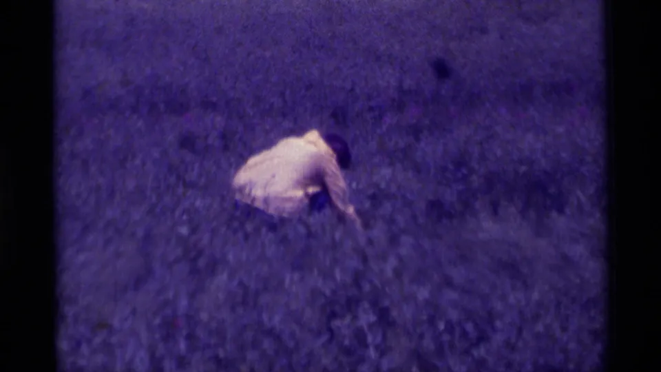 A 1975 Montana 8mm frame shows a person crouched in tall grass, seen from above in soft, purple-tinted home-movie footage.