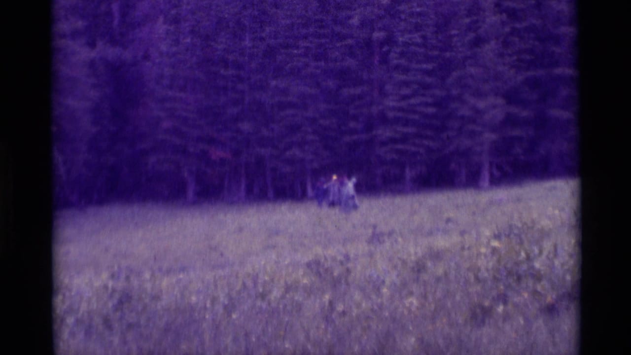 1975 Agate Springs, Montana home-movie frame with small distant walkers crossing a meadow beneath dense evergreens.