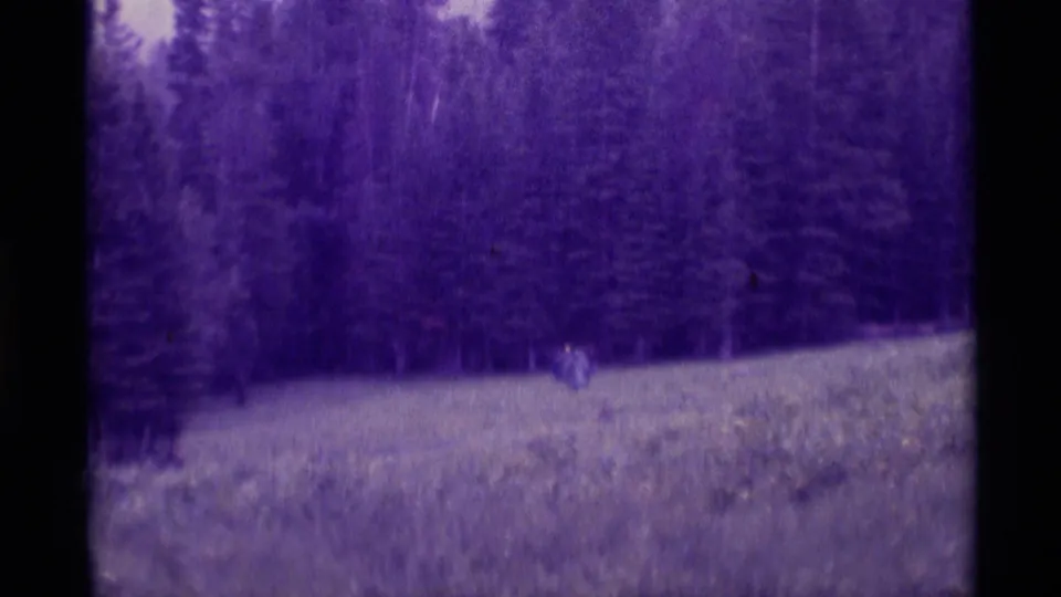 Purple-tinted 8mm frame from Agate Springs showing distant walkers near the edge of a Montana meadow and forest.