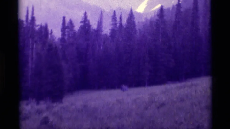 1975 Montana 8mm frame with distant walkers in a field below evergreens and a hazy mountain slope.