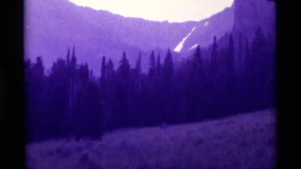 Purple-shifted 8mm view of an Agate Springs meadow, evergreen treeline, and distant Montana mountains.