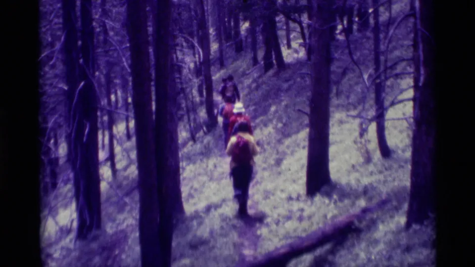 Hikers in a purple-tinted 8mm frame continue along a narrow forest trail in the Montana woods.
