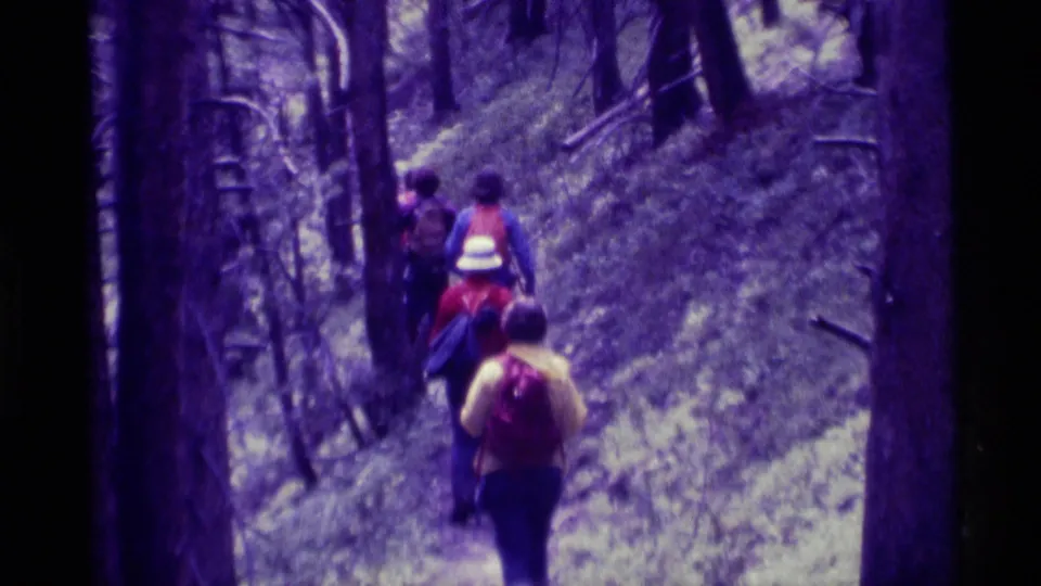 Final frame shows the group from behind on the forest trail, with purple film fade and soft 8mm grain.