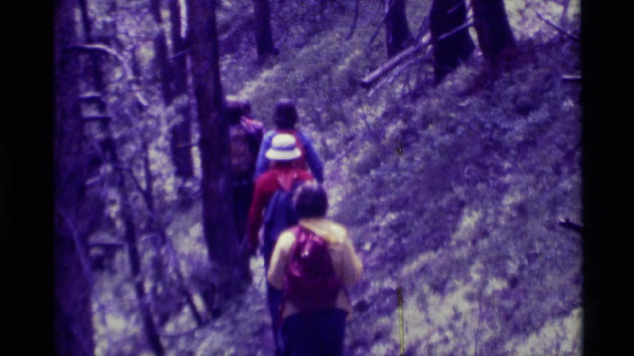 A small group of hikers in 1975 Montana appears on a wooded trail, seen from behind with backpacks and bright outerwear.