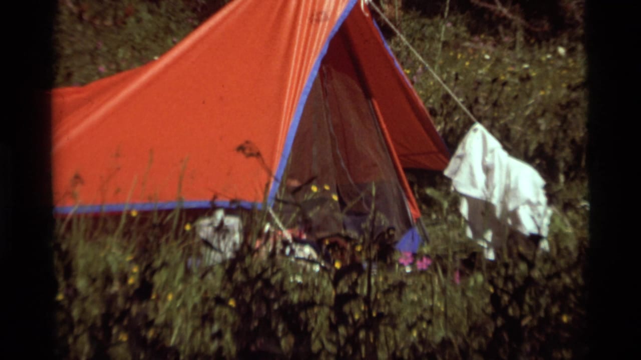 Orange tent in a grassy forest clearing with clothing hanging nearby.