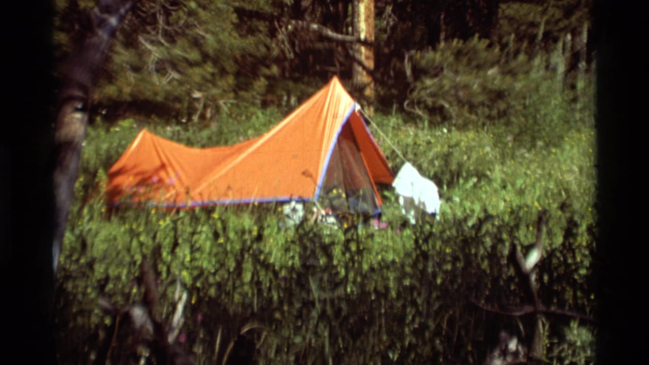Orange ridge tent seen across dense grass and shrubs in a wooded Montana campsite, with light-colored clothing hanging near the tent.