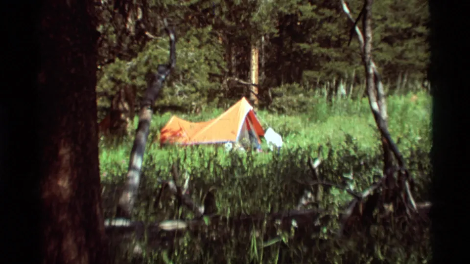 Distant view of an orange tent in an Agate Springs forest clearing, framed by tree trunks, brush, and tall summer grass.