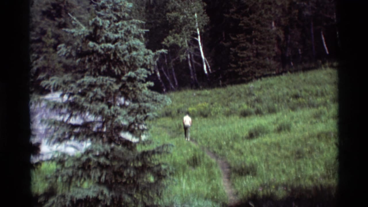 In Agate Springs, Montana, a distant hiker walks away along a narrow path through a green meadow bordered by evergreens.