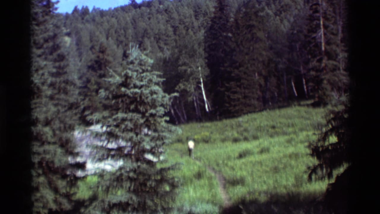 Lone hiker farther along a meadow trail with dense trees behind.