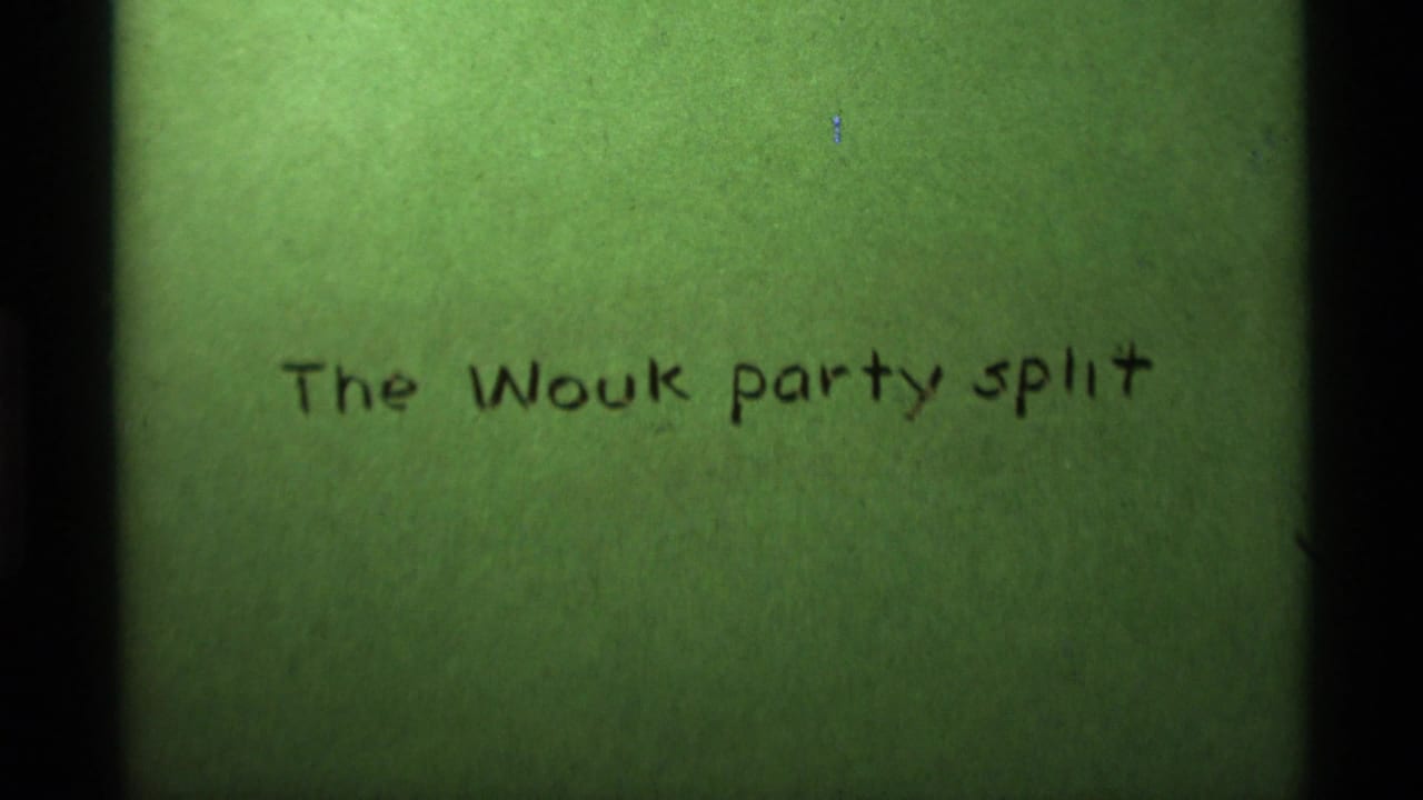 Handwritten title card reading The Wouk party split on green film leader.