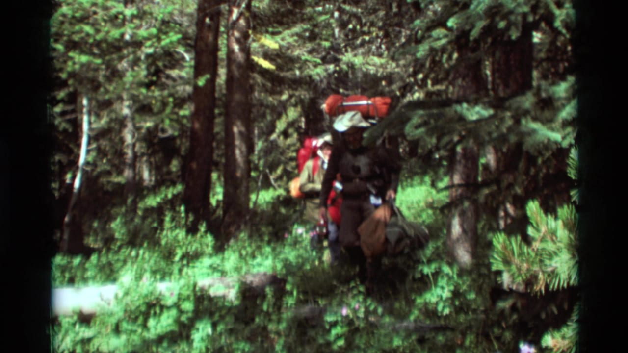 Two adult hikers with red backpacking gear move along a wooded trail in 1975 Agate Springs, Montana footage.