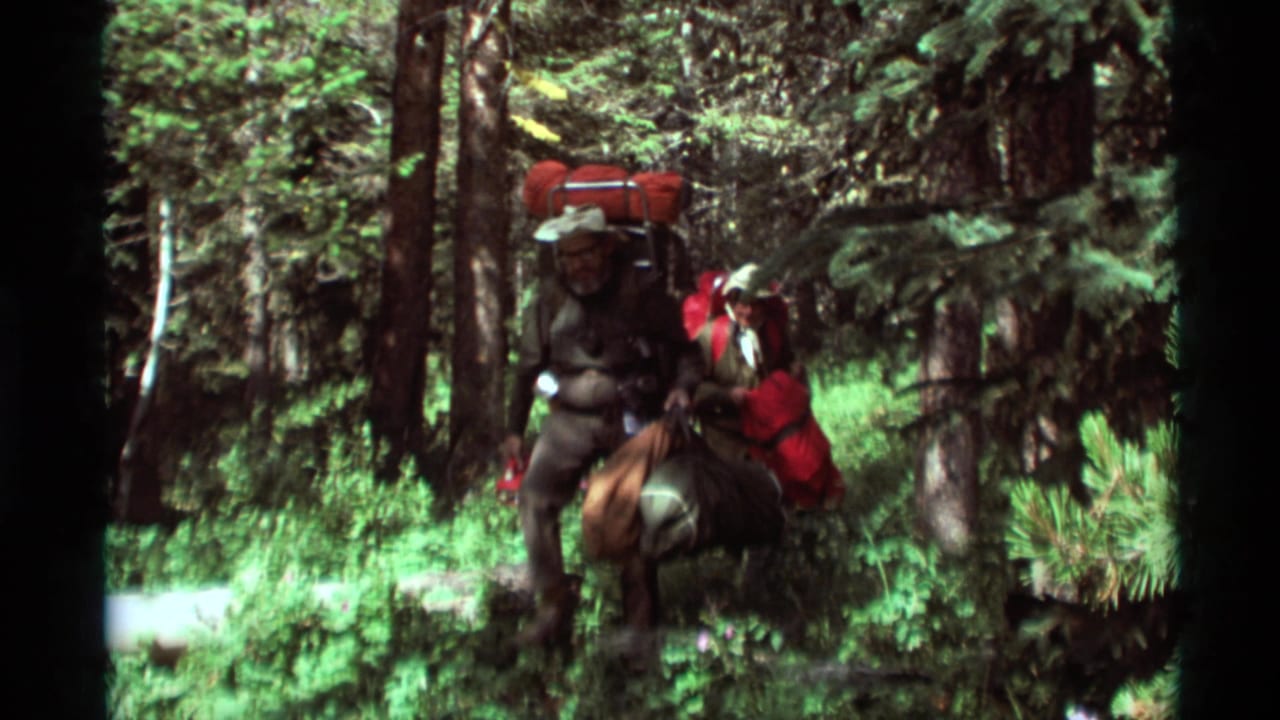 A loaded hiker moves forward between tree trunks in bright forest light.