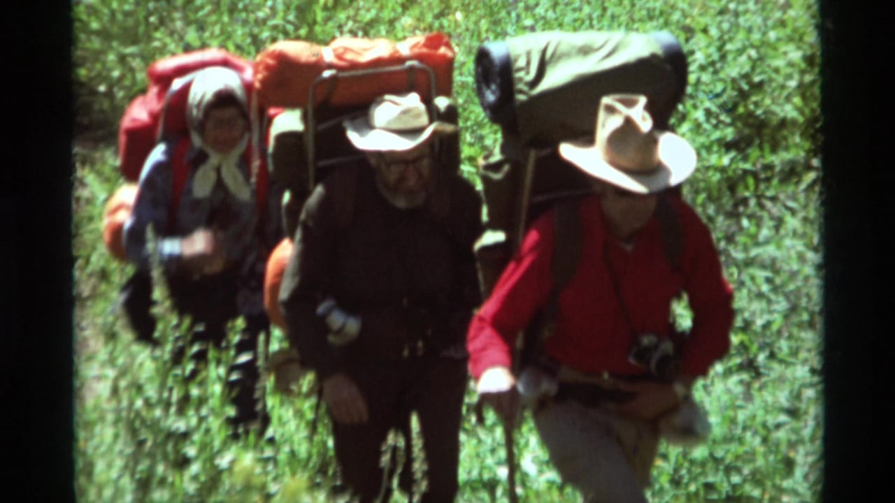 Three backpackers walk uphill through a green wooded trail.