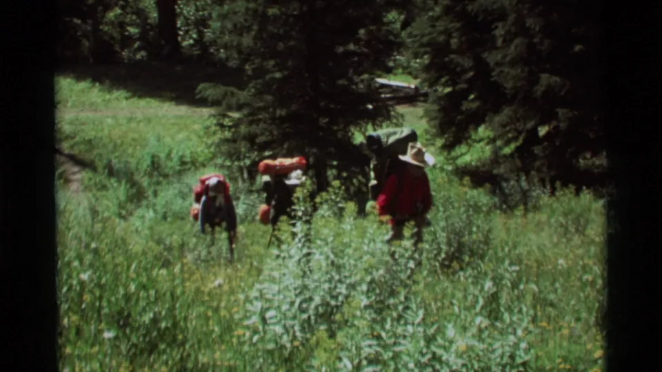 Three backpackers move farther into a tree-lined Montana meadow in 1975 8mm home-movie footage.