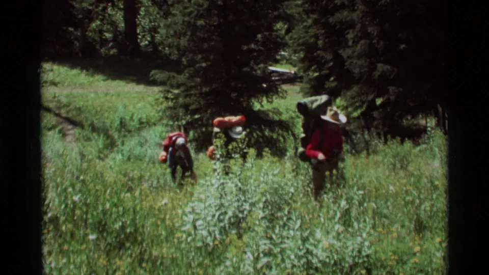 Three hikers with large packs cross a tall green meadow in Agate Springs, Montana, in 1975 home-movie footage.