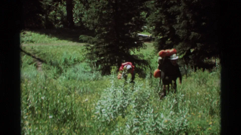 Backpackers pass through dense meadow grass in the Montana home-movie scene, with pine trees behind them.
