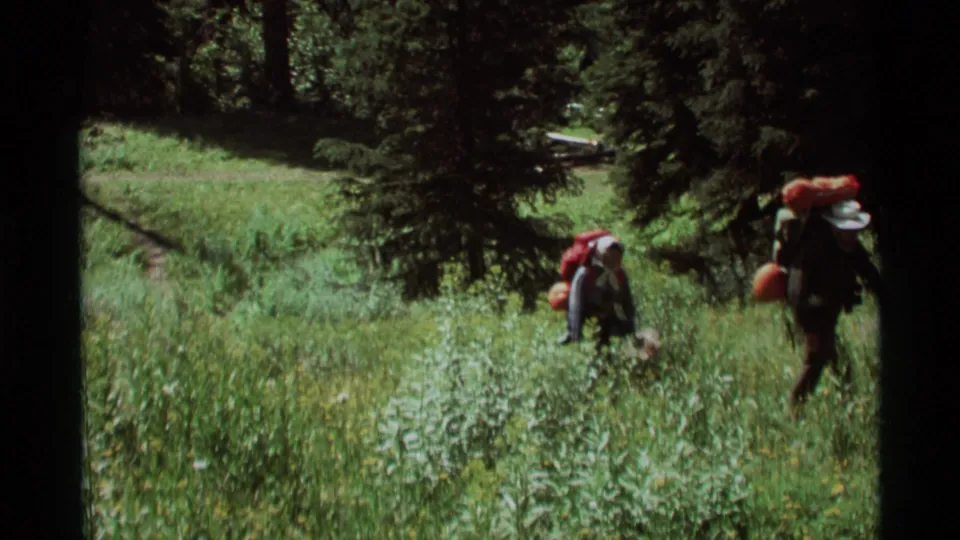 Hikers carrying camping packs leave the frame through tall meadow grass in 1975 Agate Springs, Montana footage.