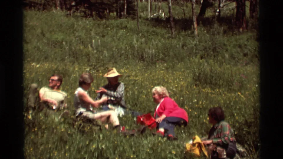 1975 Montana picnic scene with adults in casual summer clothing seated among tall grass and wildflowers near woodland.