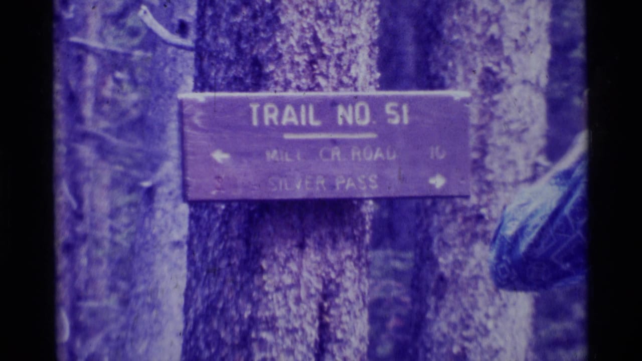 Trail No. 51 sign on a tree in a Montana forest, pointing toward Mill Cr Road and Silver Pass.