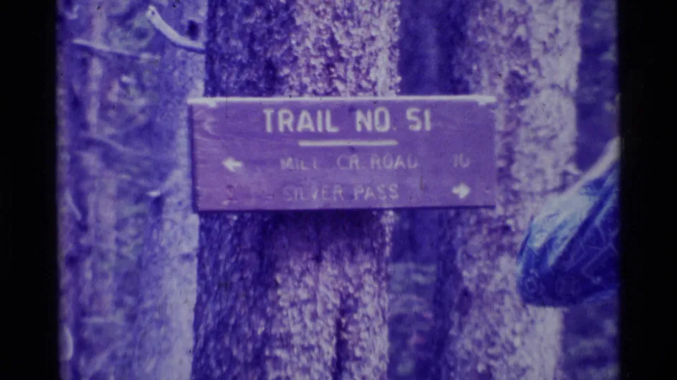 Trail No. 51 sign on a tree in a Montana forest, pointing toward Mill Cr Road and Silver Pass.