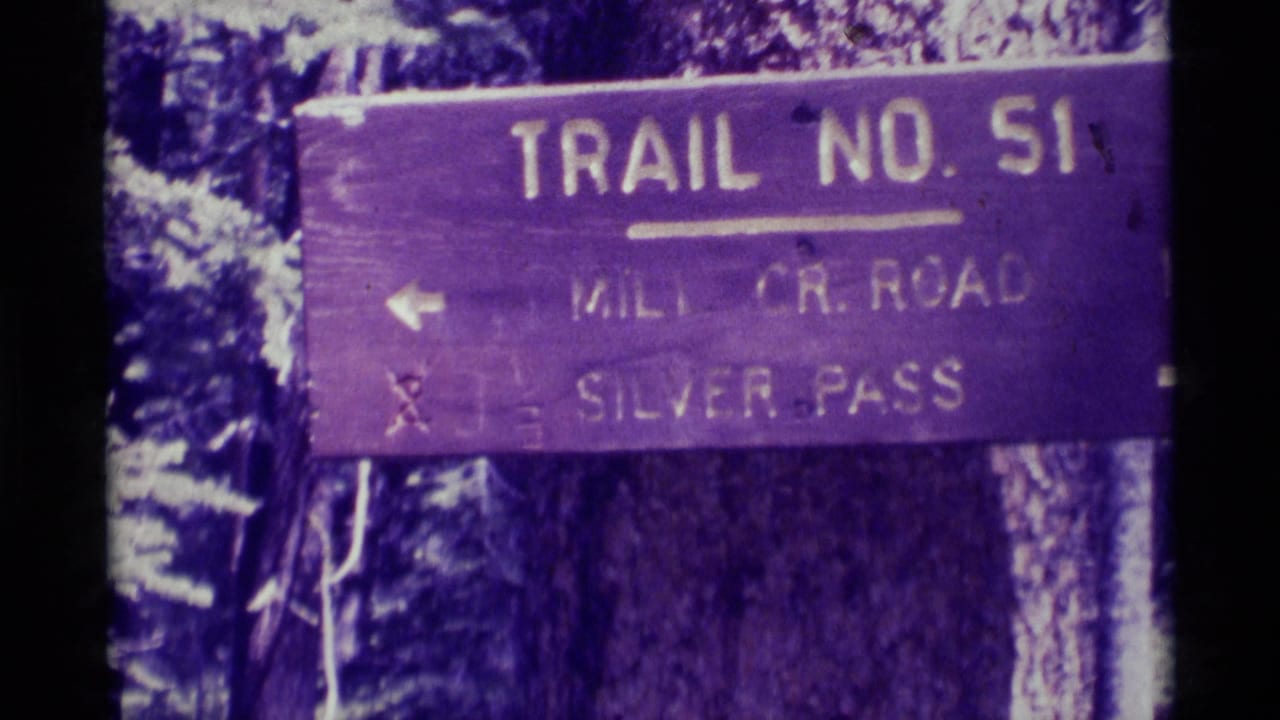 Close 8mm view of the Trail No. 51 sign with directions to Mill Cr. Road and Silver Pass in a forest setting.