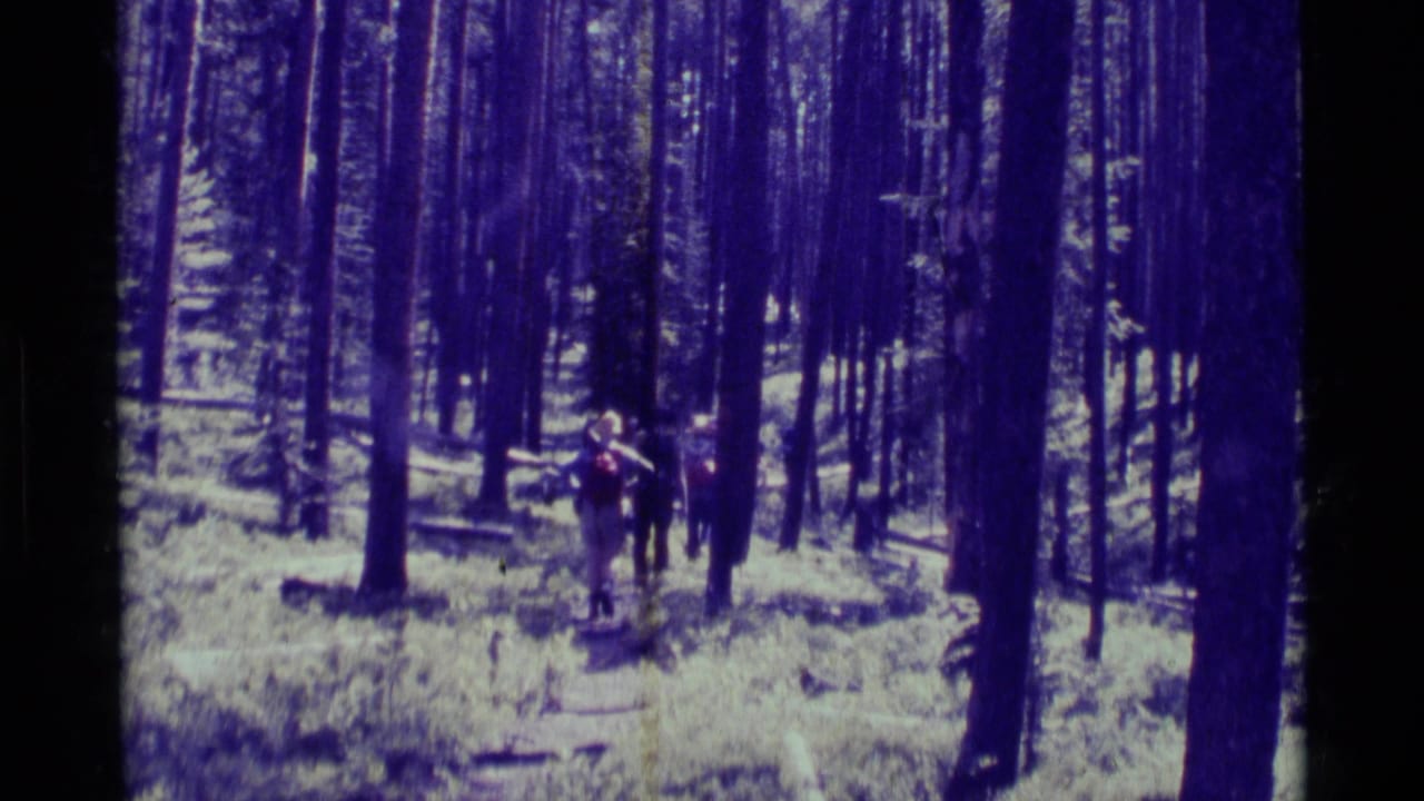 1975 8mm home-movie frame of hikers moving through a wooded trail in Agate Springs, Montana, with tall trunks and a purple color cast.