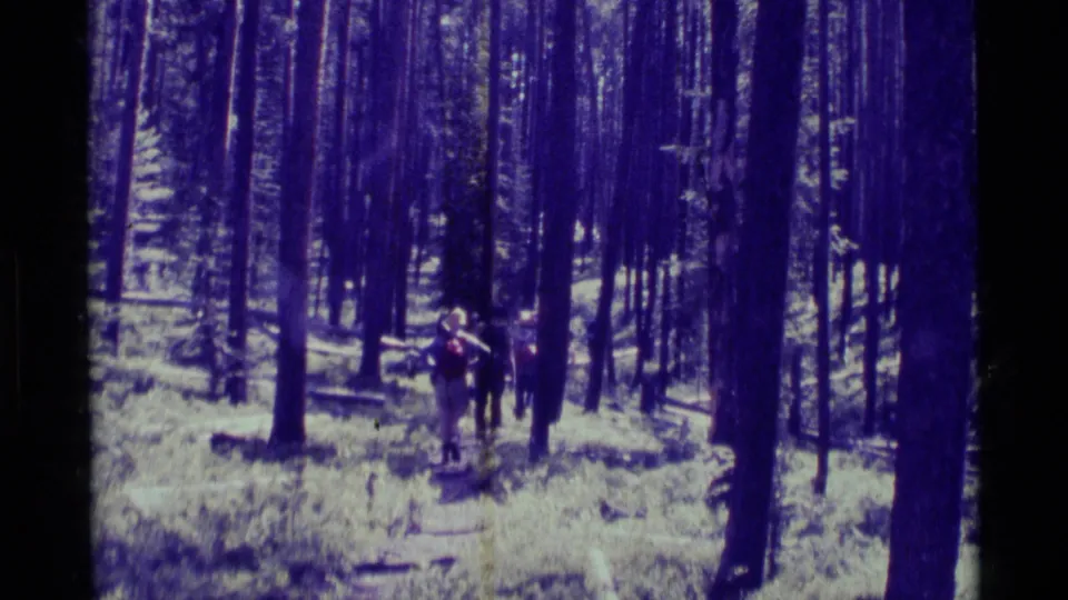 1975 8mm home-movie frame of hikers moving through a wooded trail in Agate Springs, Montana, with tall trunks and a purple color cast.