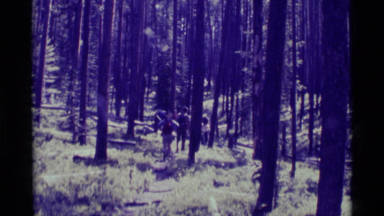 Hikers appear deeper in the forest in this 1975 Agate Springs, Montana 8mm frame, walking with packs through dense trees.