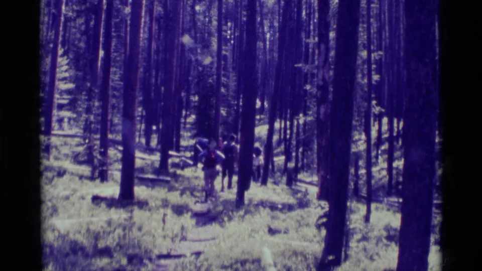 Hikers appear deeper in the forest in this 1975 Agate Springs, Montana 8mm frame, walking with packs through dense trees.