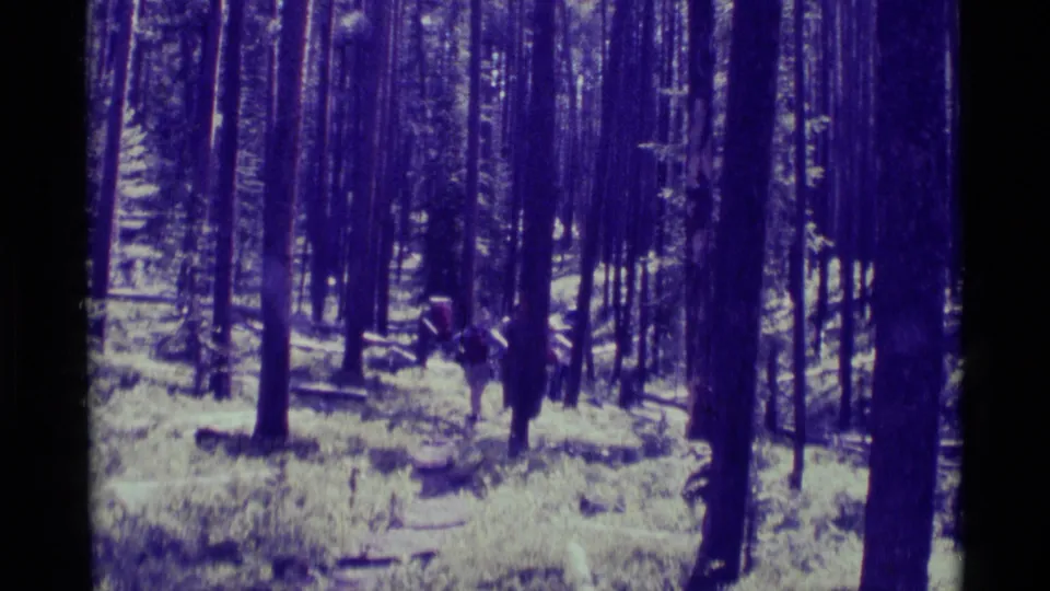 A 1975 home-movie view of backpackers passing through tall trees in Agate Springs, Montana, with soft focus and purple-blue film tint.