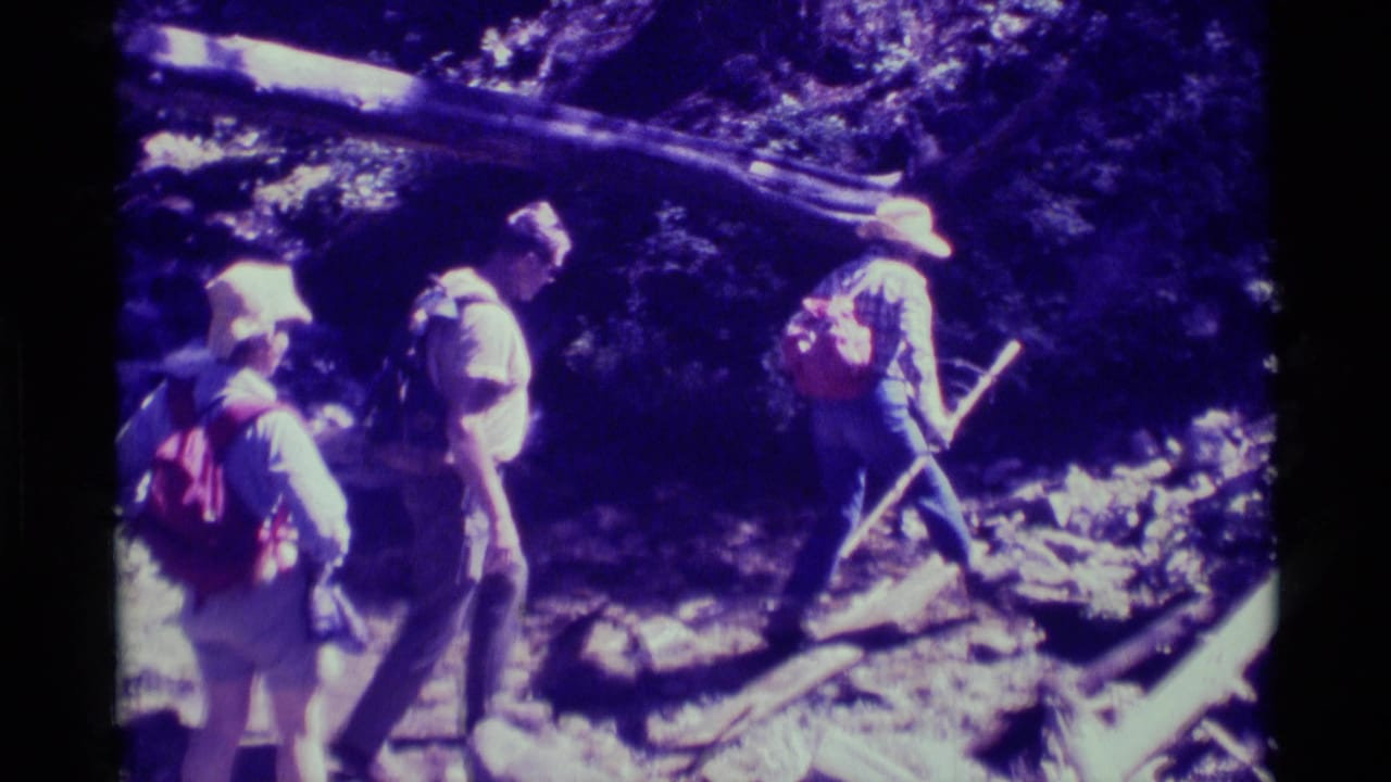 Adult hikers with backpacks cross uneven wooded terrain beside a fallen log in 1975 Montana home-movie footage.