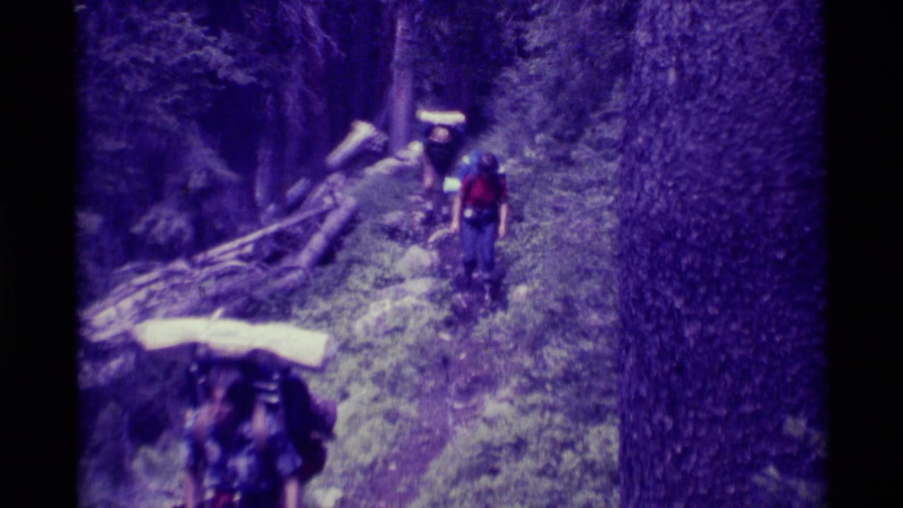 1975 Montana home-movie frame showing backpackers moving through a wooded trail with fallen logs and soft purple film color.