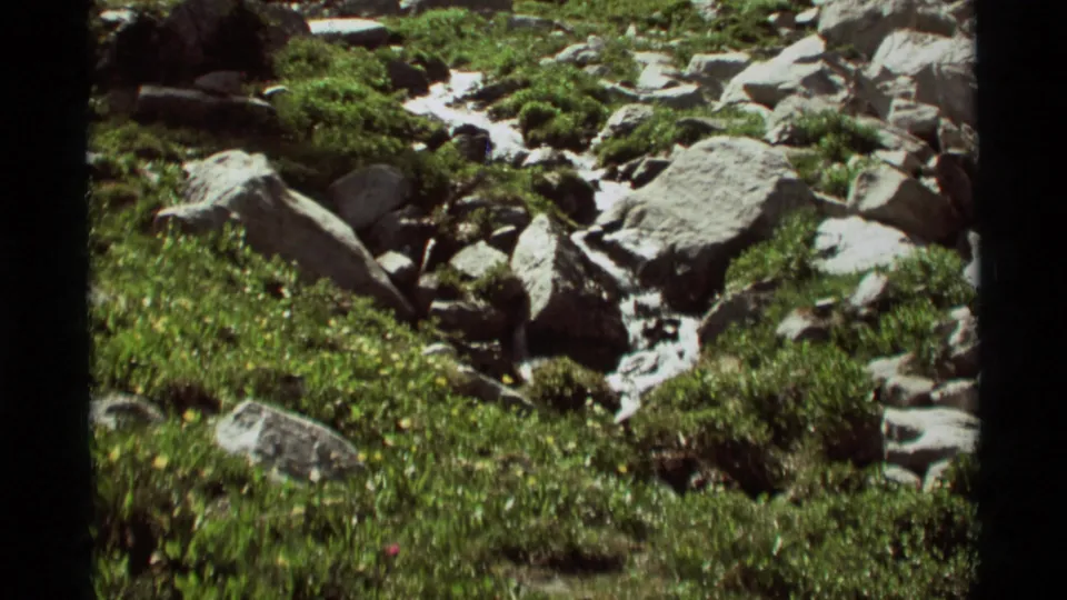 Closer 1975 8mm view of a rocky meltwater creek in Agate Springs, Montana, bordered by green plants and scattered stones.