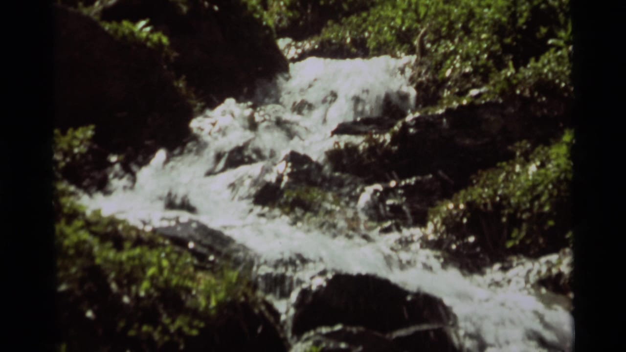 1975 8mm Montana footage of white water cascading over rocks beside dense green streamside foliage.