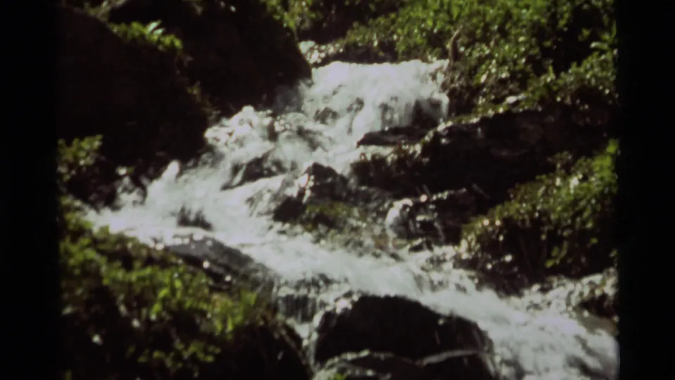 1975 8mm Montana footage of white water cascading over rocks beside dense green streamside foliage.