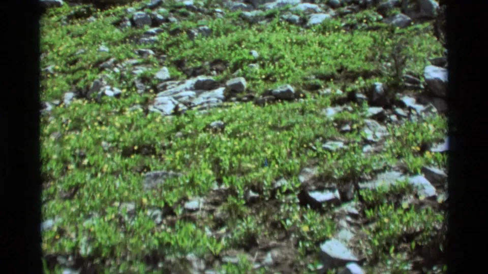 Wider Agate Springs landscape frame showing green grass, stones, and a small wet channel or low area in 1975 footage.