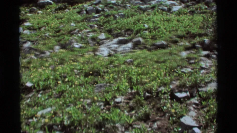 Wider 1975 Agate Springs view of rocky green terrain, low plants, and a shallow wet area near the center of the frame.