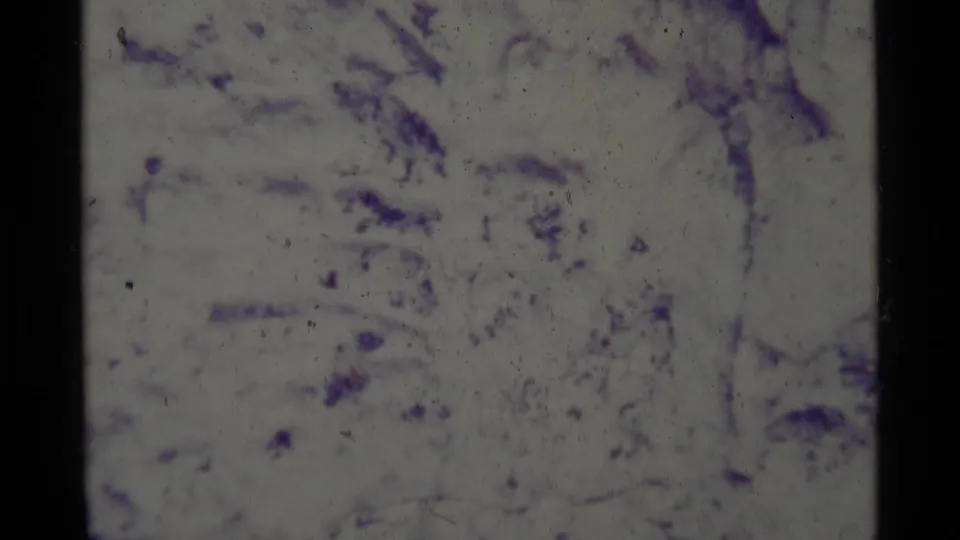 A washed-out 8mm frame appears to show pale rock or ground texture, with heavy exposure variation and film wear.