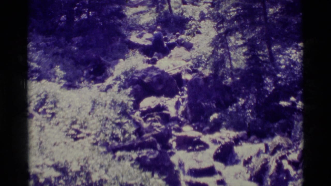 1975 8mm home-movie frame from Agate Springs, Montana, showing a narrow rocky stream in dense wooded growth.